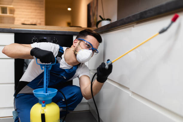 Best Emergency Pest Control  in Abaster, AL