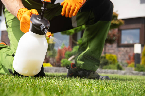 Best Bed Bug Extermination  in Abaster, AL