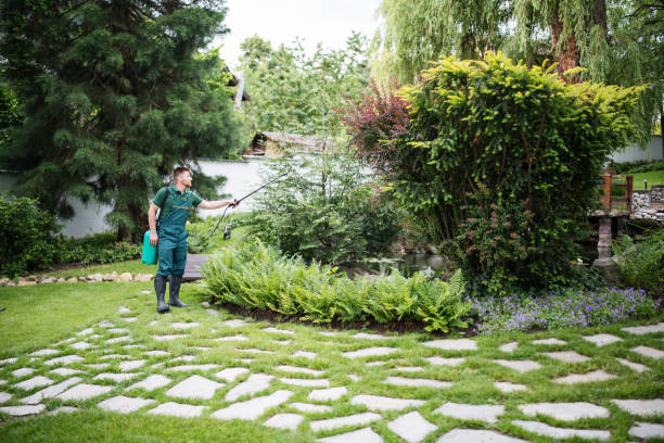 Best Local Pest Control Services  in Abaster, AL