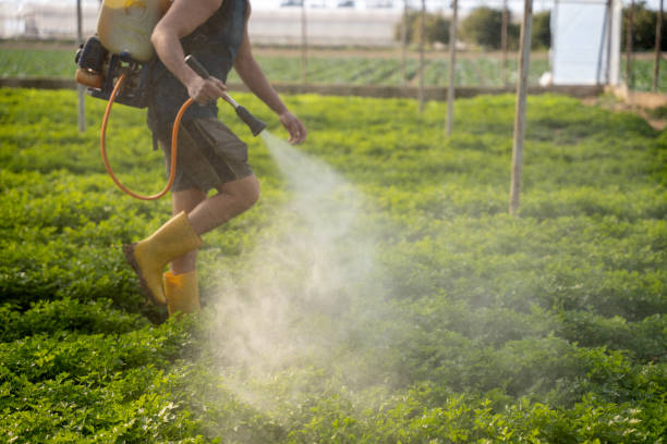 Best Pest Control Near Me  in Abaster, AL
