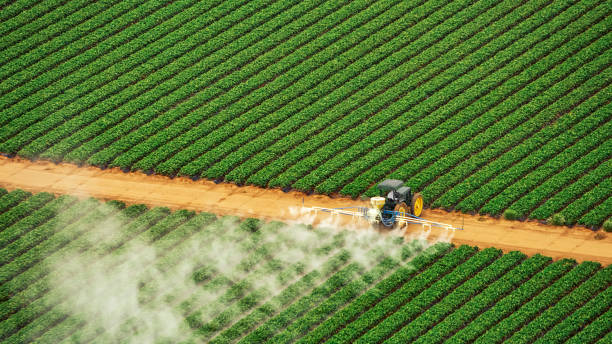 Best Exterminator Services  in Abaster, AL