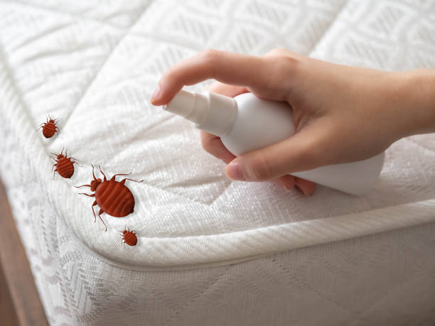 Best Commercial Pest Control Services  in Abaster, AL