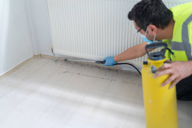 Best Affordable Pest Control Services  in Abaster, AL