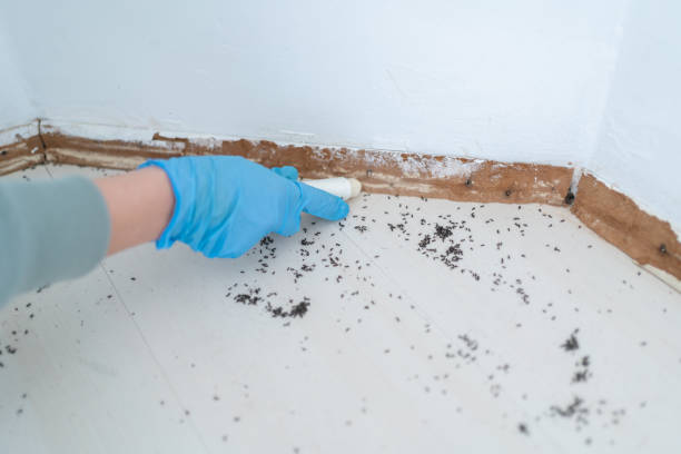 Best Emergency Pest Control  in Abaster, AL
